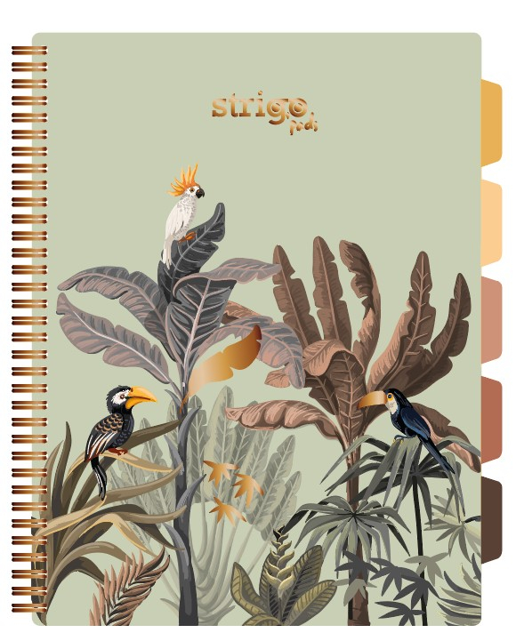 Caiet Spirala Strigo Africa A4, Matematica