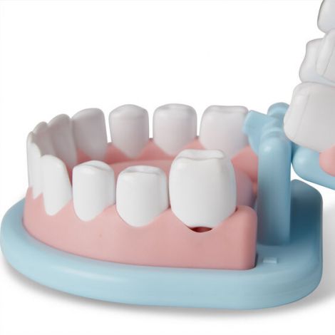 Set Dentist Melissa & Doug - Educativ 3-6 Ani - imagine 7
