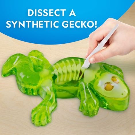 Kit Disecție Șopârlă National Geographic - imagine 3