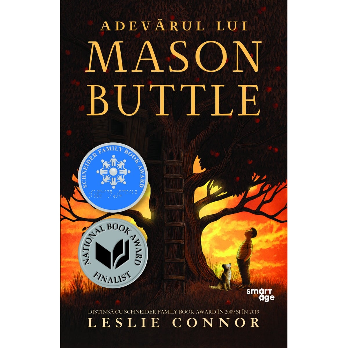 Adevarul lui Mason Buttle - Editura Corint