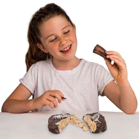 National Geographic Kit Dinozauri - Descoperă Paleontologia - imagine 3