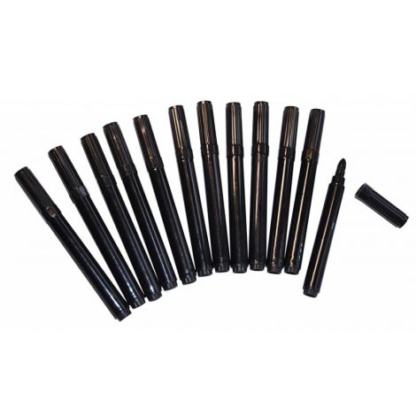 Set 12 Carioci Negre Playbox Varf Gros