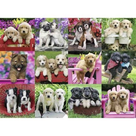 Puzzle Catelusi Ravensburger 500 piese