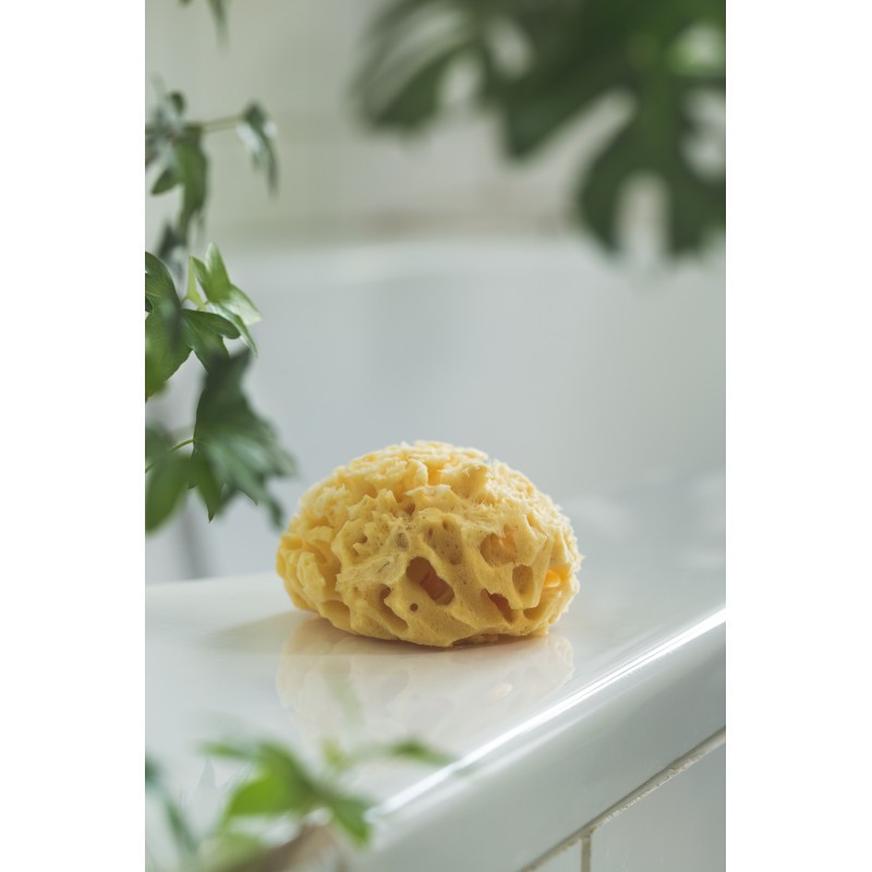 Rotho Burete Natural Bebelus - Igiena Premium - imagine 3
