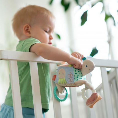 Fehn Jucarie Testoasa Dexteritate Bebelusi - imagine 2