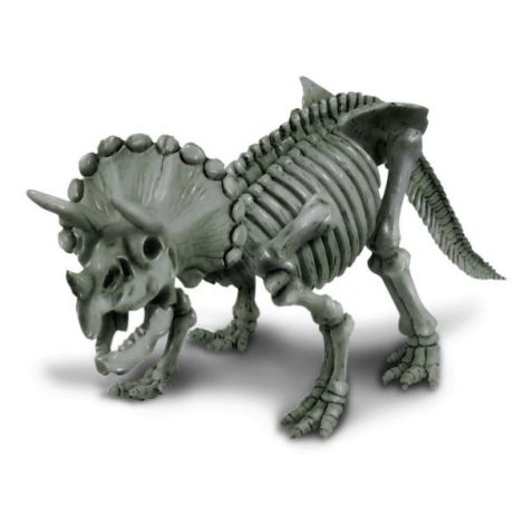 Set 4M Sapa Descopera Dinozaur Triceratops - imagine 2