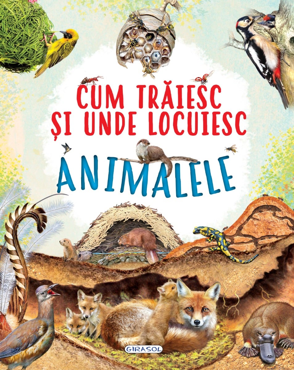 Cum traiesc animalele - Girasol