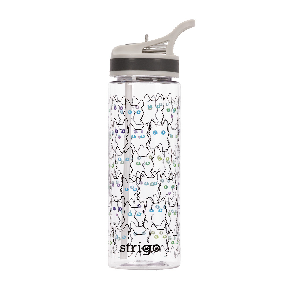 Bidon Strigo Cats Collection 600 ml – Design Jucăuș