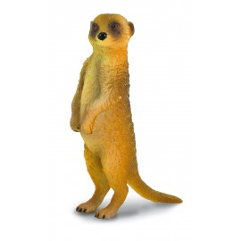 Figurina Suricata Collecta | Detaliat și Sigur