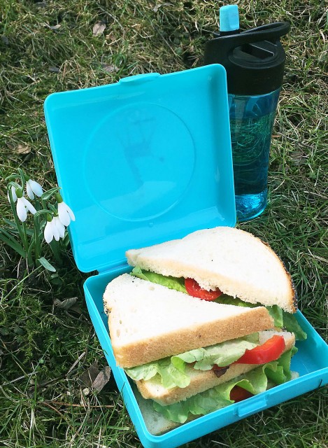 Caserolă Sandwich Carl Oscar Orange | Eco și Practică